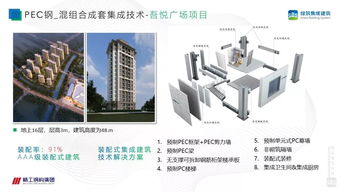 徐國軍PSC鋼結構集成建筑成套技術與工程應用